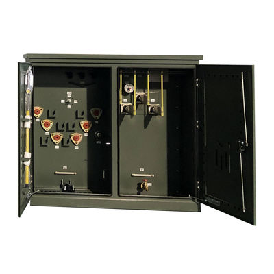 300 Kva Three Phase Pad Mounted Oil Immersed Distribution Transformer 24.94Kv