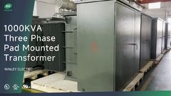 Three Phase Pad Mounted Transformer 1000kva 34.5KV Loop Feed Oil Type Power Distribution Transformer