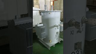 333 kVA einphasiger Masttransformator mit doppelter Primärspannung #einphasig #Fabrik